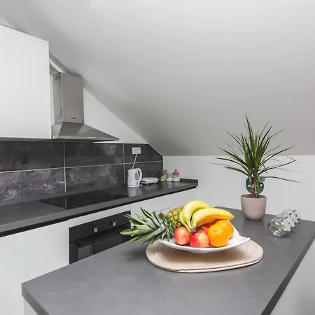 公寓 Luxury Eva 扎达尔