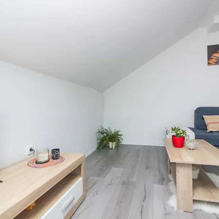 公寓 Luxury Eva 扎达尔